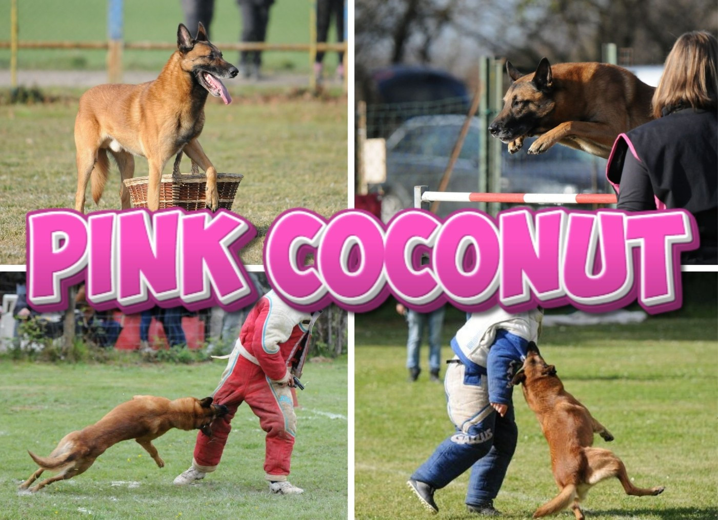 Pink coconut Du royaume de jessica