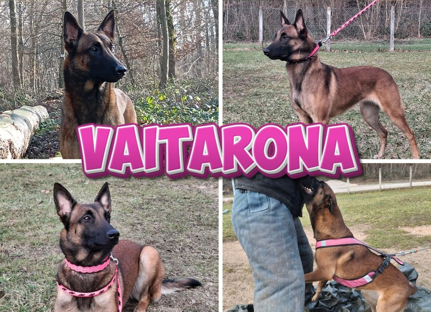 VAITARONA Du Domaine De Sagaro